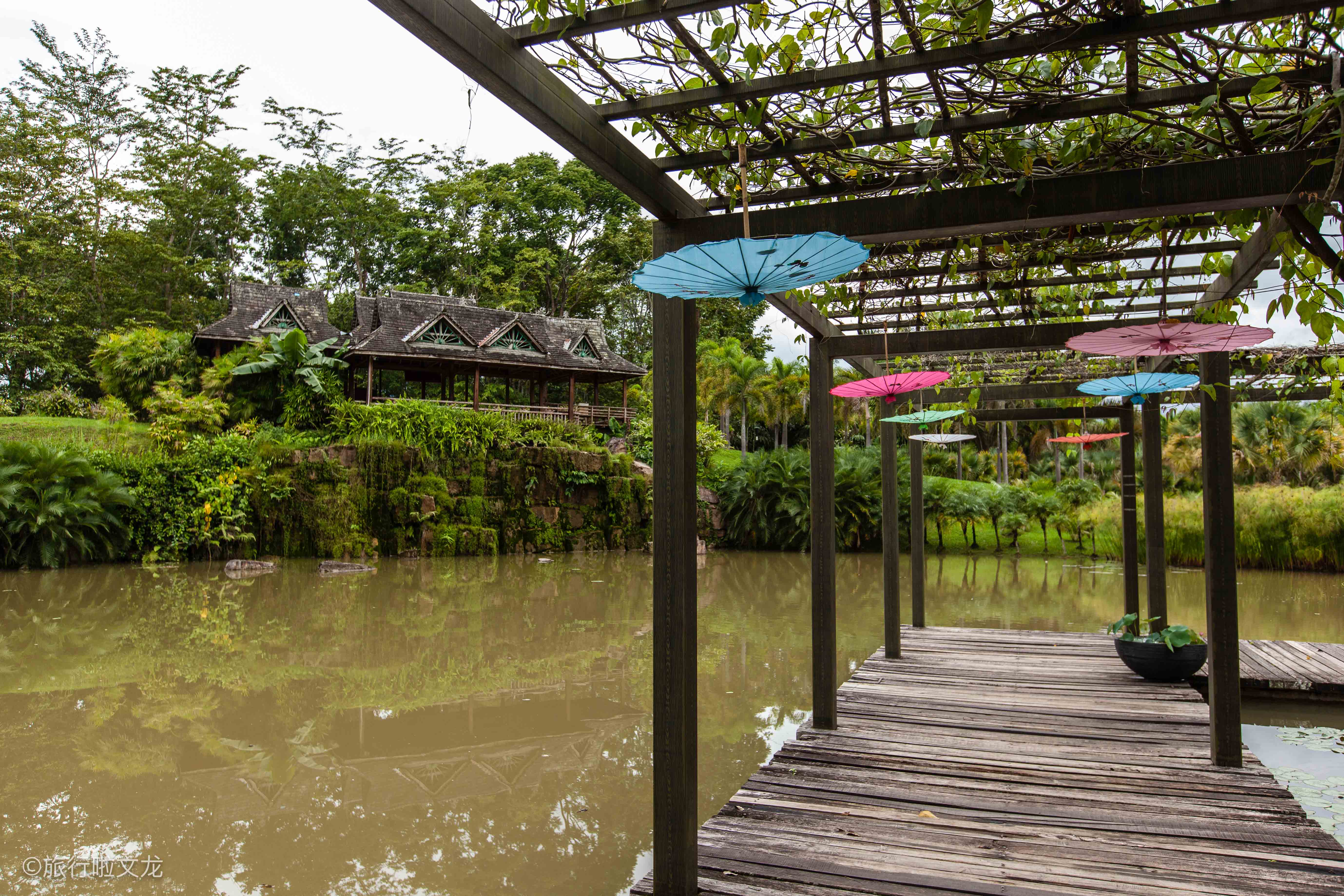 科学院西双版纳雨林海拔高度,中科院西双版纳勐仑热带植物园