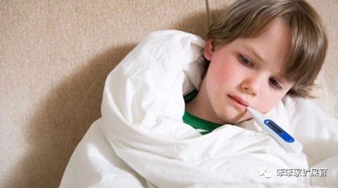 被猫抓了怎么办?:与其担心狂犬病,不如注意猫抓热