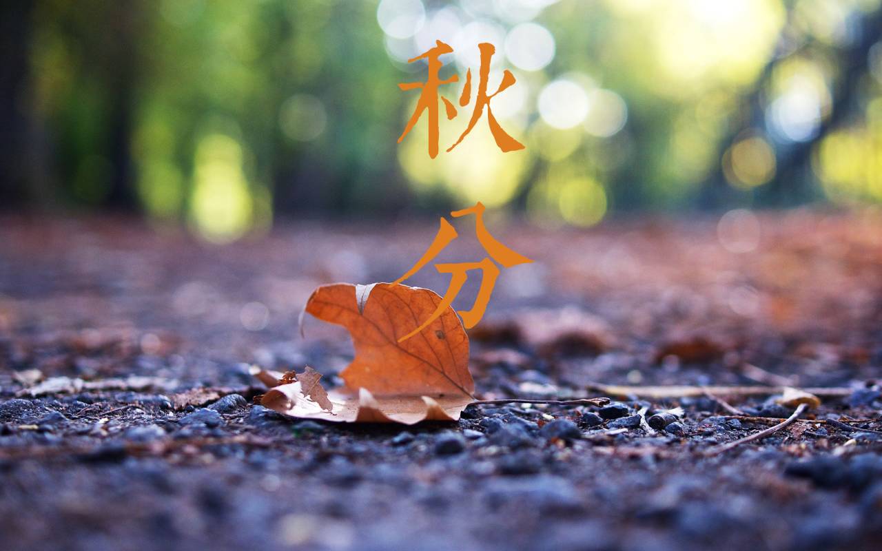 河南暴雨形成原因讲解,河南暴雨是因为热带雨林形成吗