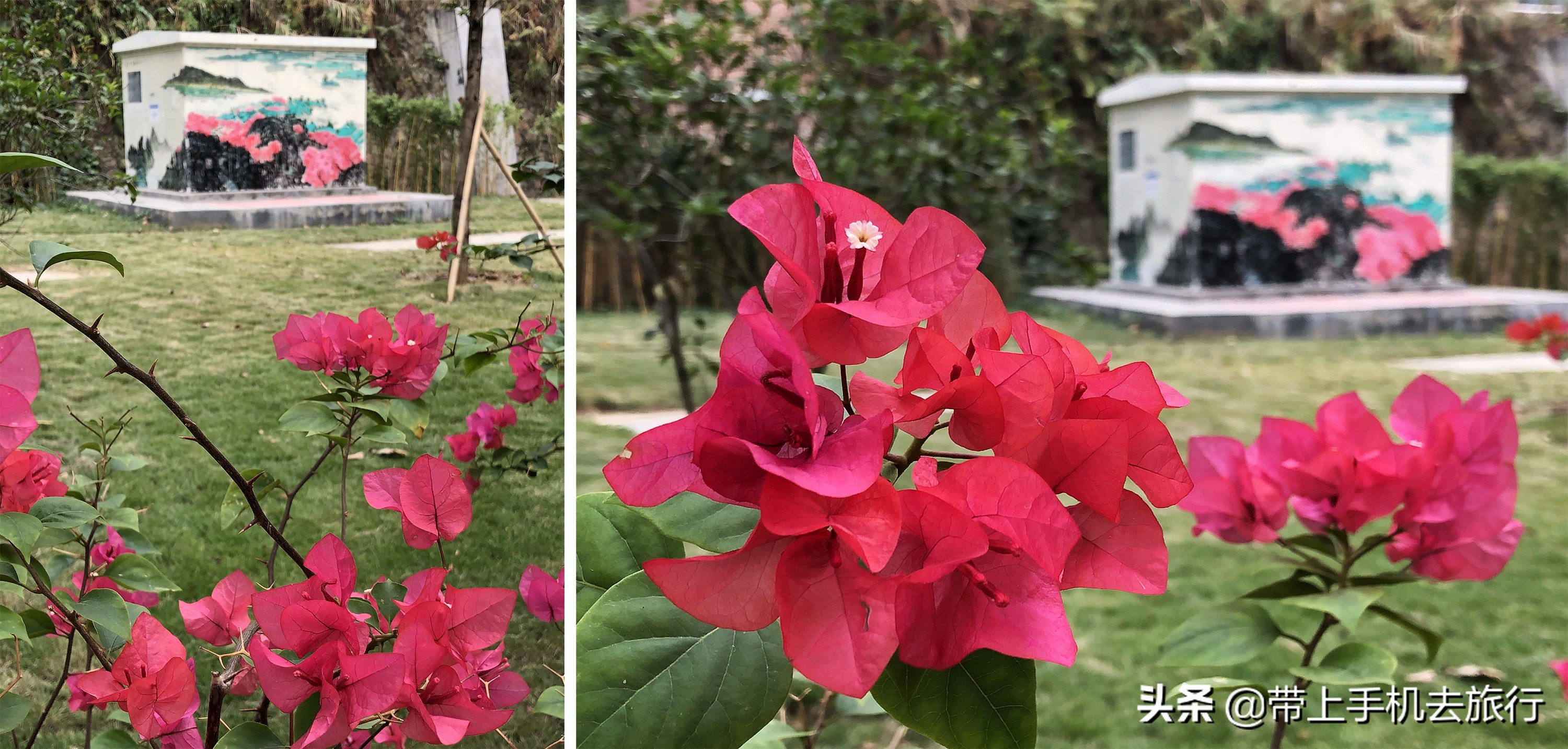 “减法”、虚化和“加法”，让画面瞬间干净简洁唯美