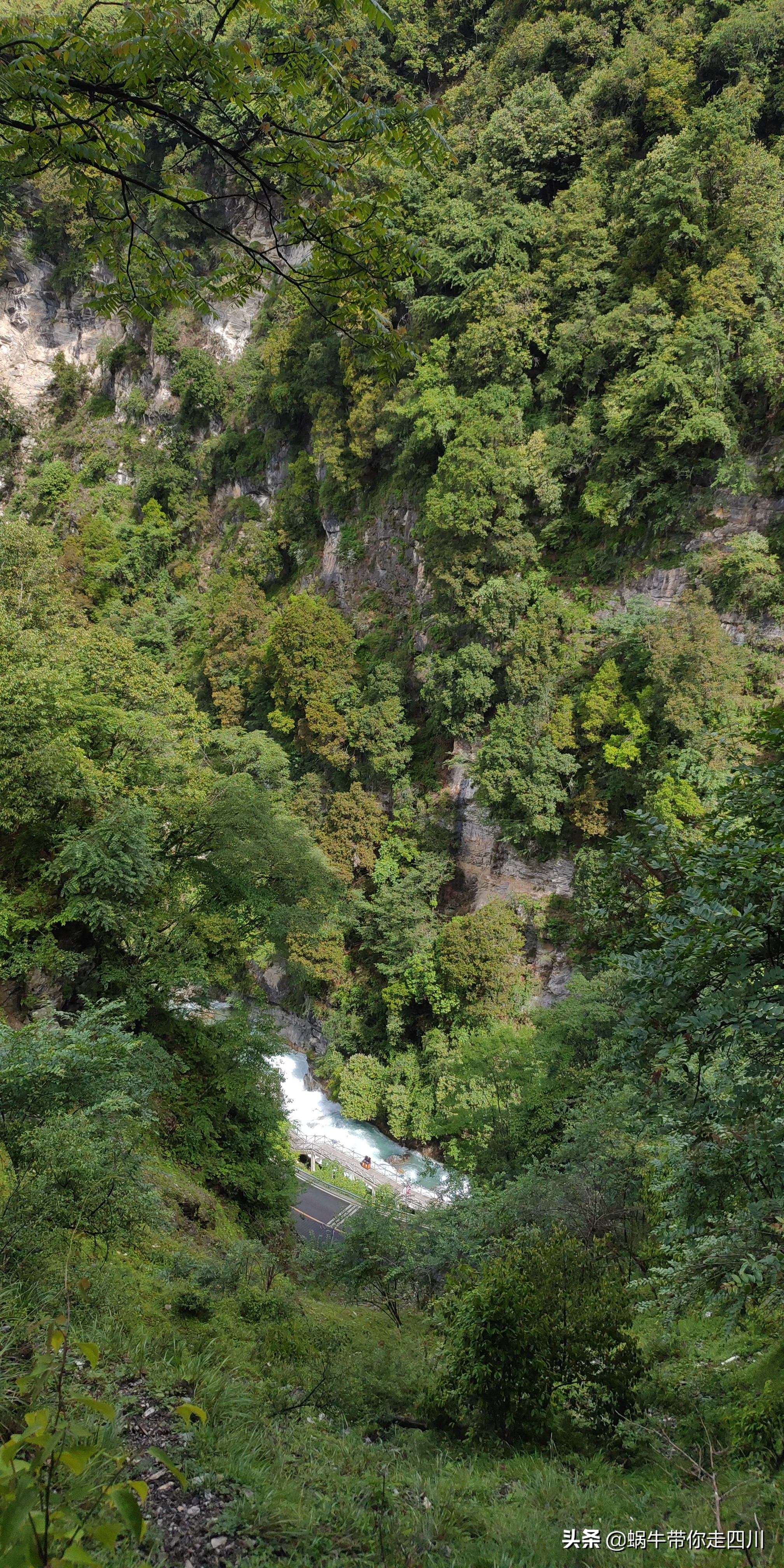 一家三口重庆到拉萨旅游攻略预算,一家三口成都去拉萨大概要多少钱