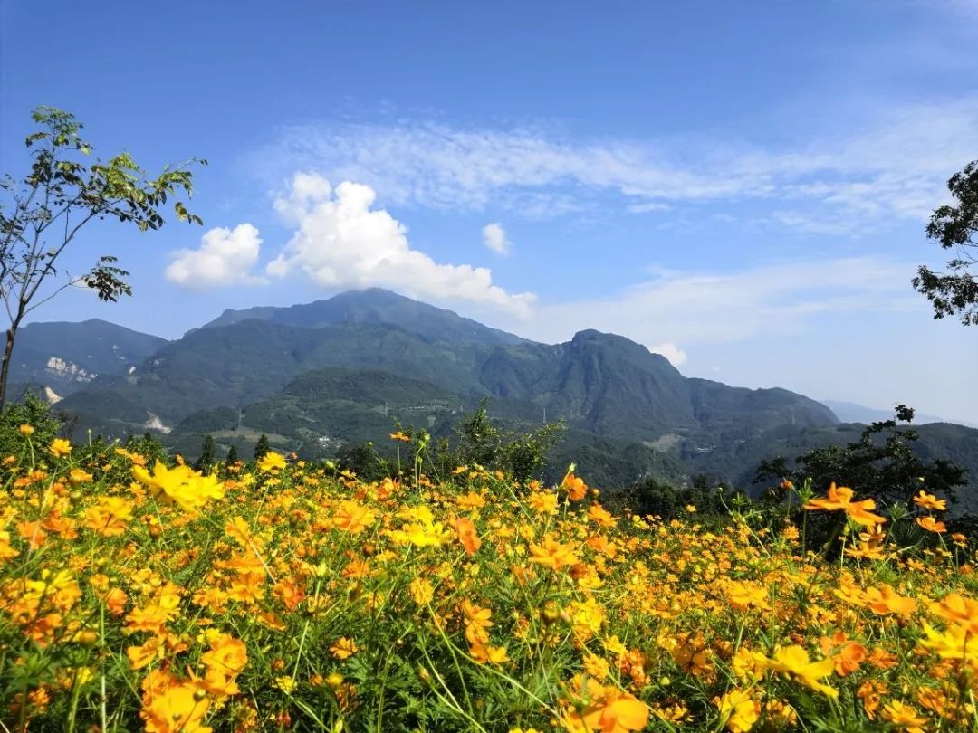 四川普贤菩萨攻略,四川峨眉山普贤菩萨最灵的寺庙