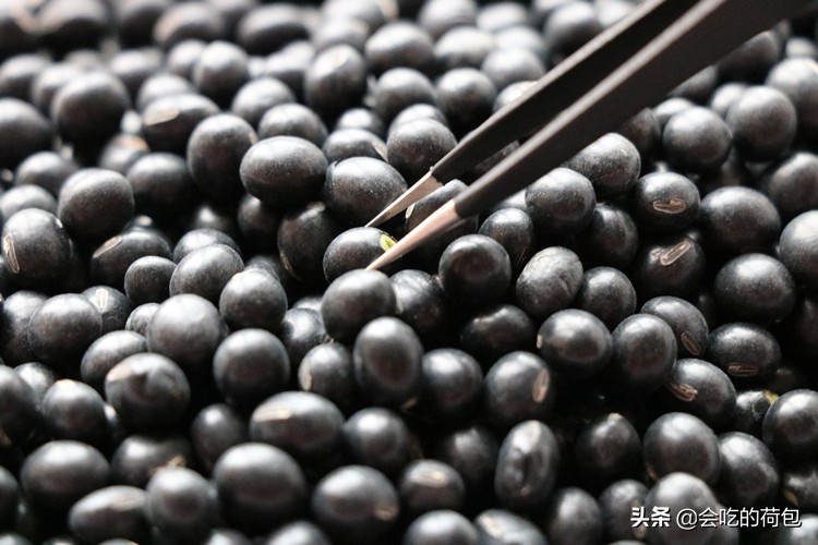 黑豆最简单的十种吃法,秋天要多吃这三黑粥