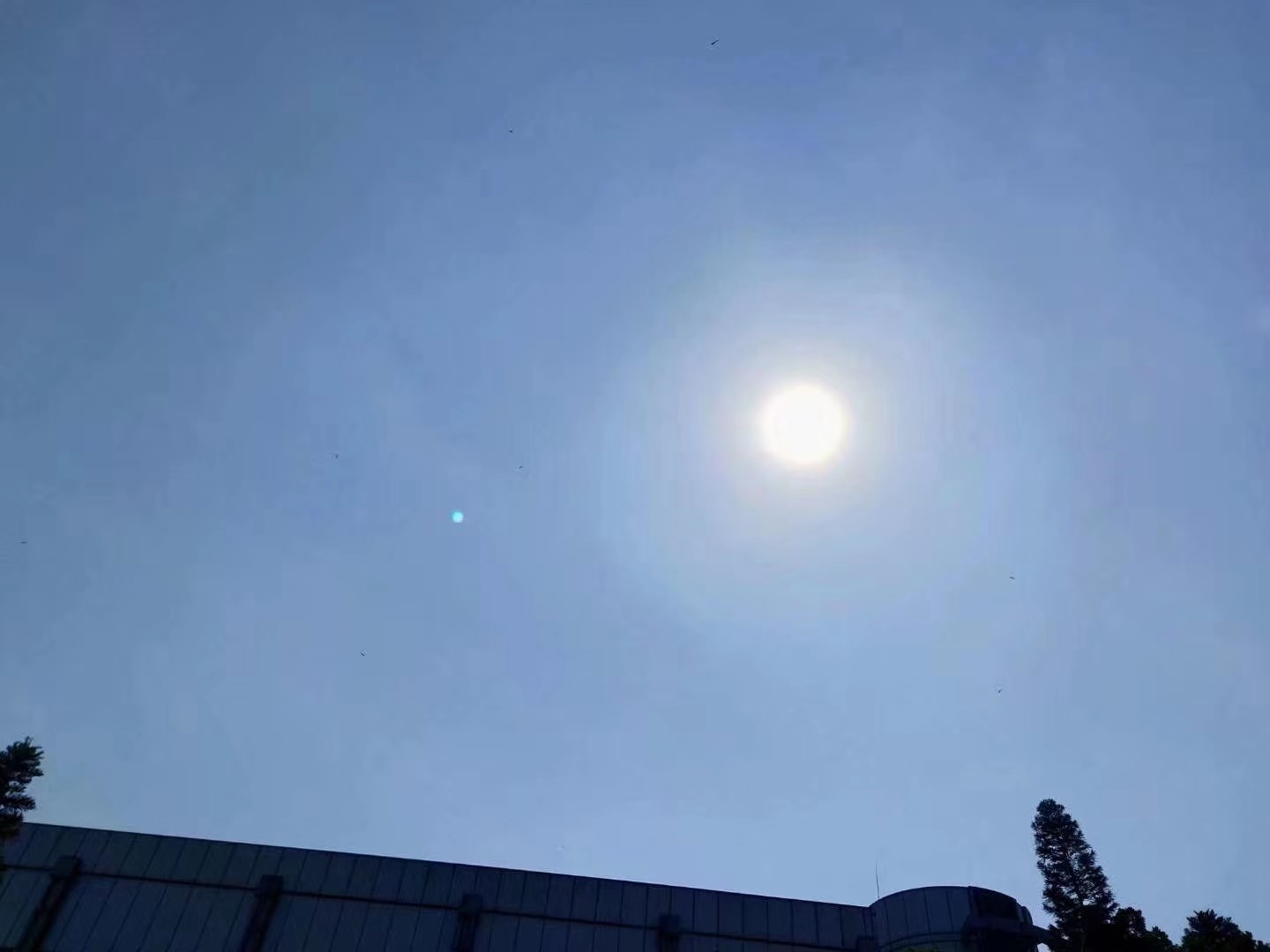 娃哈哈基本功展示,娃哈哈基本功组合