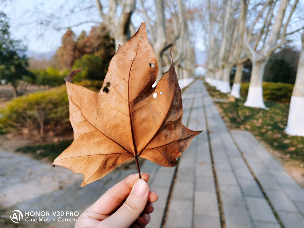 荣耀v30pro还有哪些不知道的功能,荣耀v30pro用了半年体验感怎样