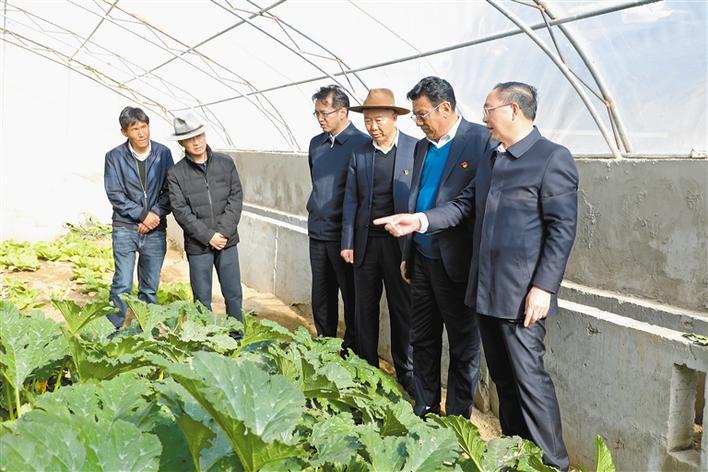 阿里地区广大*党**员干部*党**史学习教育纪实：边疆处处*党**旗红*党**史光辉耀阿里