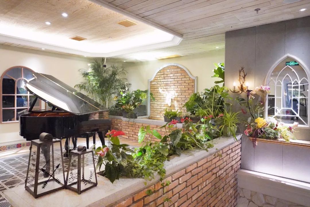 吃在济南｜麋鹿森林,满足你对美味的一切幻想|治愈你的心和胃！