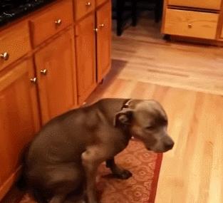 第一次人机大战电影,第一次人机战争