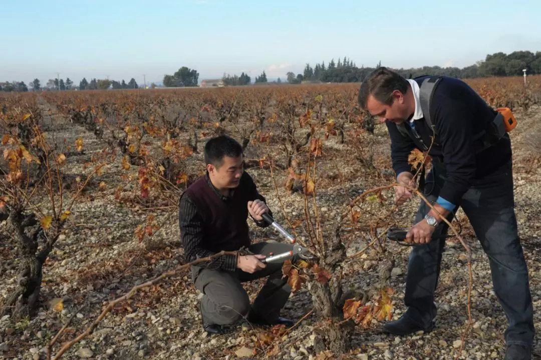 isg国际侍酒师初级班,isg侍酒师初级报名费