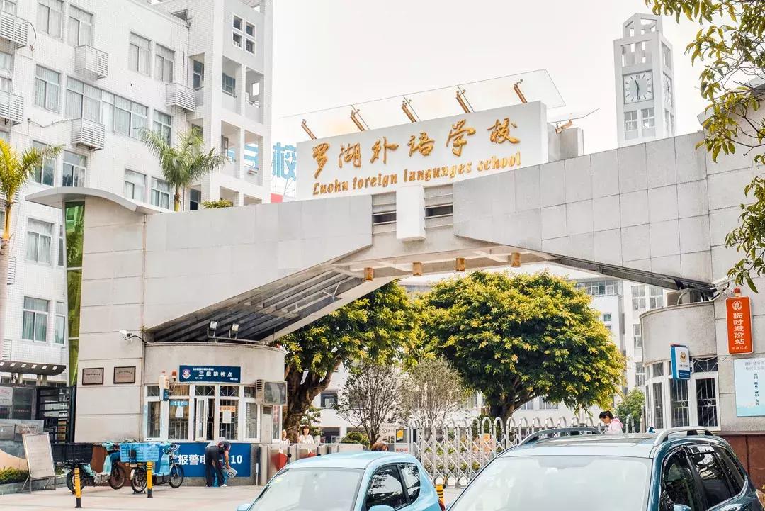 附近莲塘,附近的莲塘