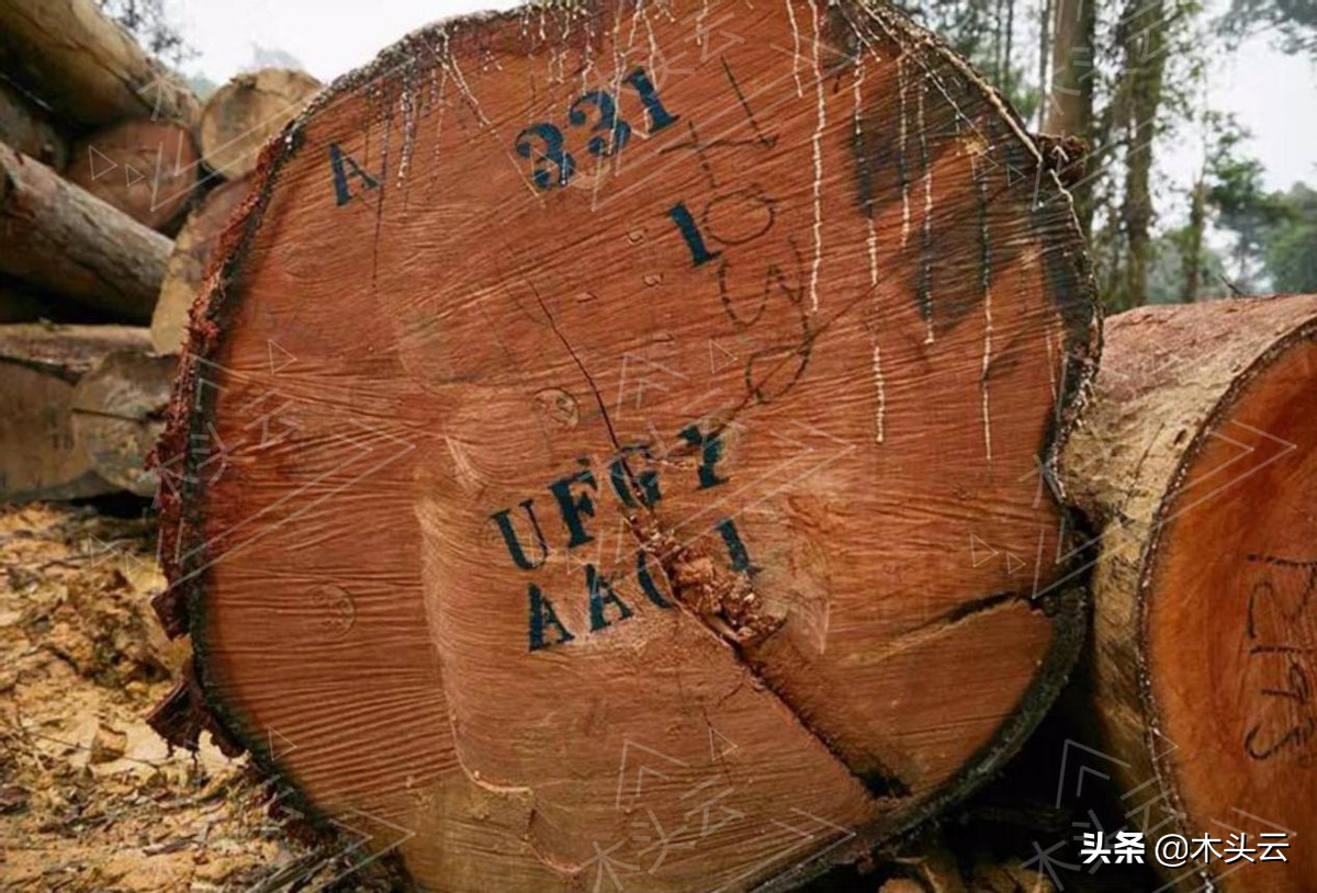 奥古曼木材销售厂家,奥古曼替代什么木材