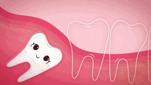 智齿痛痛痛！！！是拔了还是忍着？