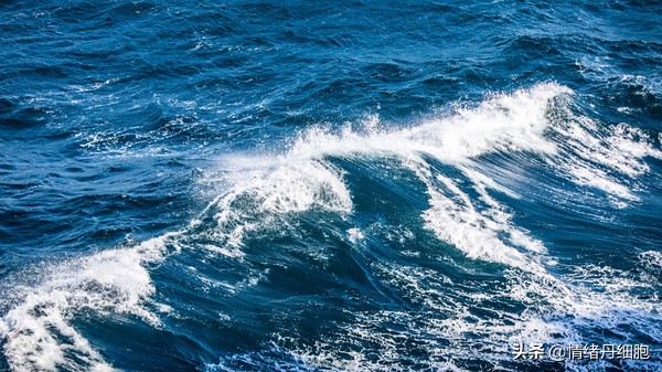 邮轮游选择哪个游轮好,邮轮旅游全攻略公主号