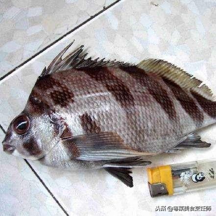 名贵海鲜干货有哪些品种,名贵海鲜水产品种类