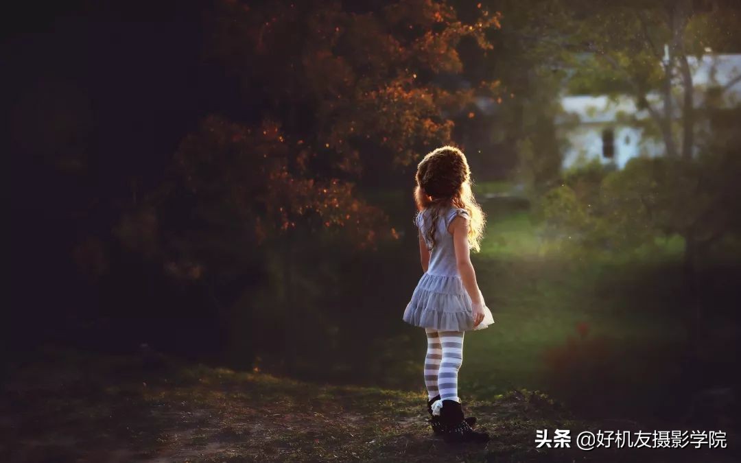 a7系列相机哪个最好,怎么区别a7系列相机