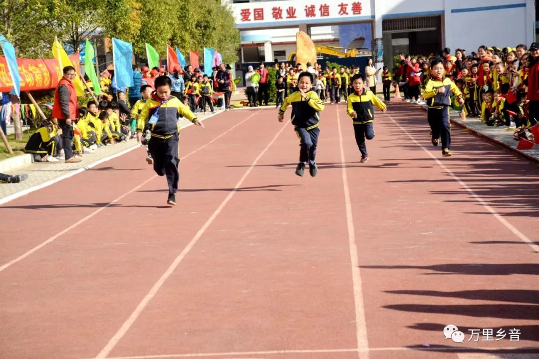 阳春市兴华小学校运会,逸夫小学县运会