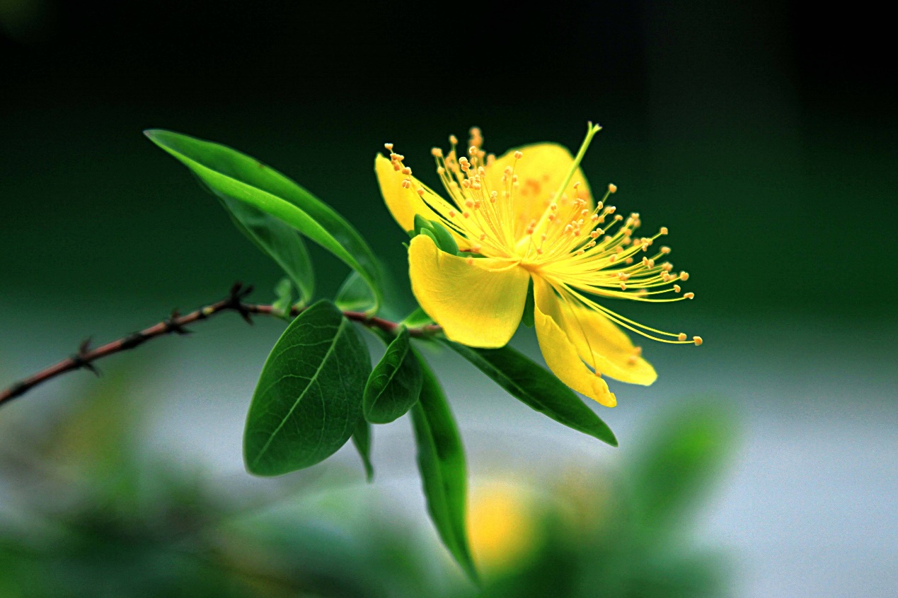 脾气大的人其实非常实在可靠,脾气大的人有哪些症状