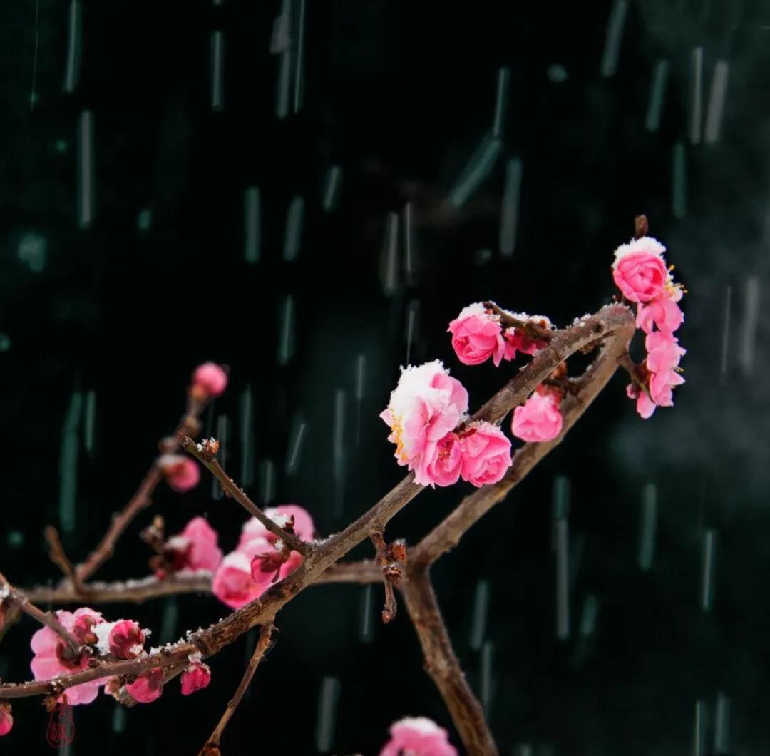 海子面朝大海春暖花开原文图片,海子面朝大海春暖花开画