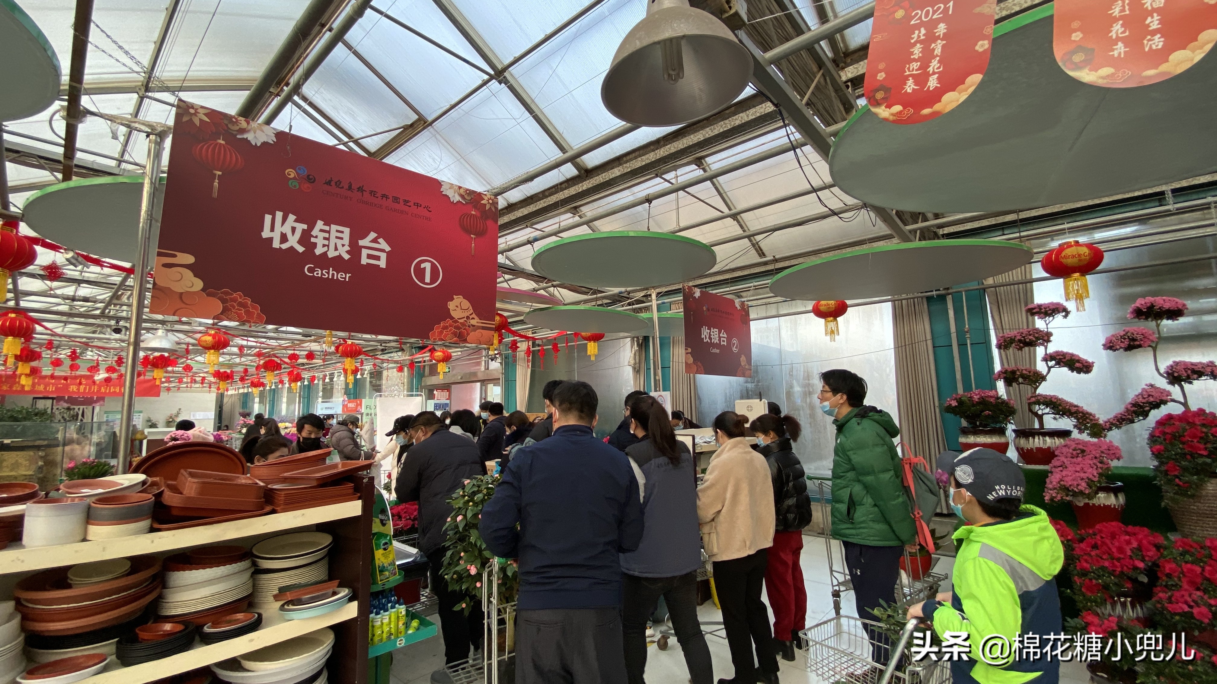 北京开了第一家绿植花卉大超市,北京最大花卉绿植市场