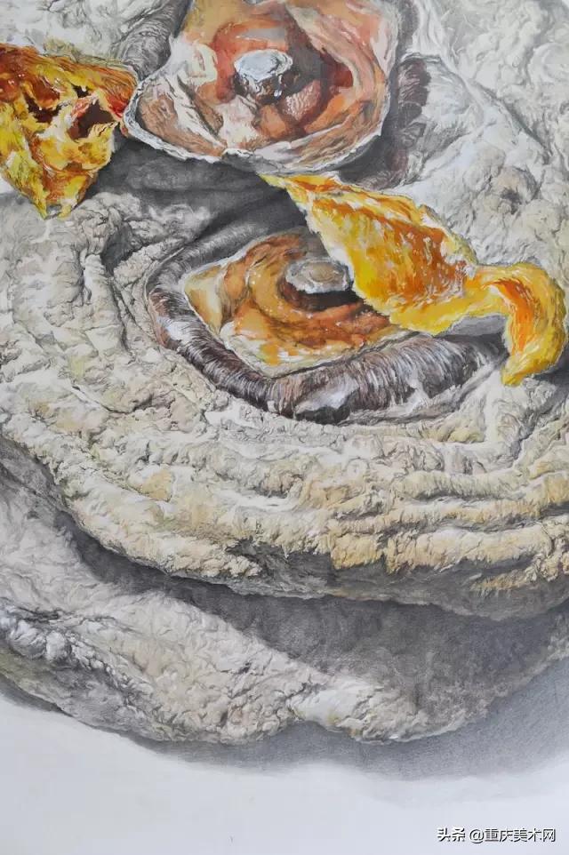 中央美术学院精微素描,中央美术学院全国素描第一名