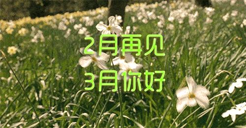 绳命是如此的精彩！网红僧人延参法师为宜兴春游踏青打call！