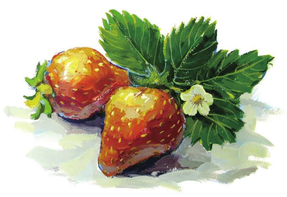 草莓怎么画最难的画法,教你画草莓国画