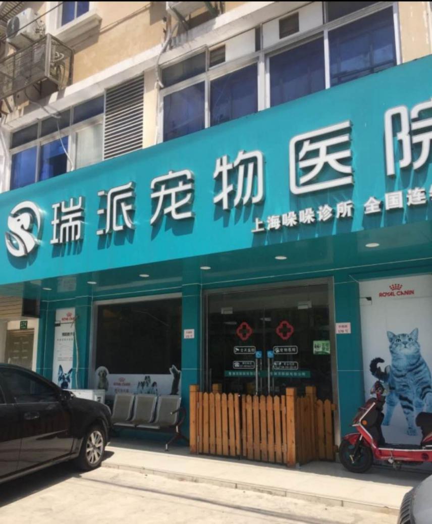 上海路的宠物医院有哪些,上海最好的宠物医院老西门