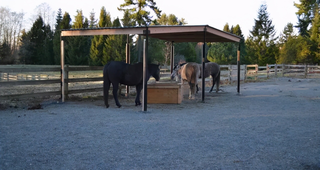 蹄腐病的治疗,腐蹄病用什么药效果好