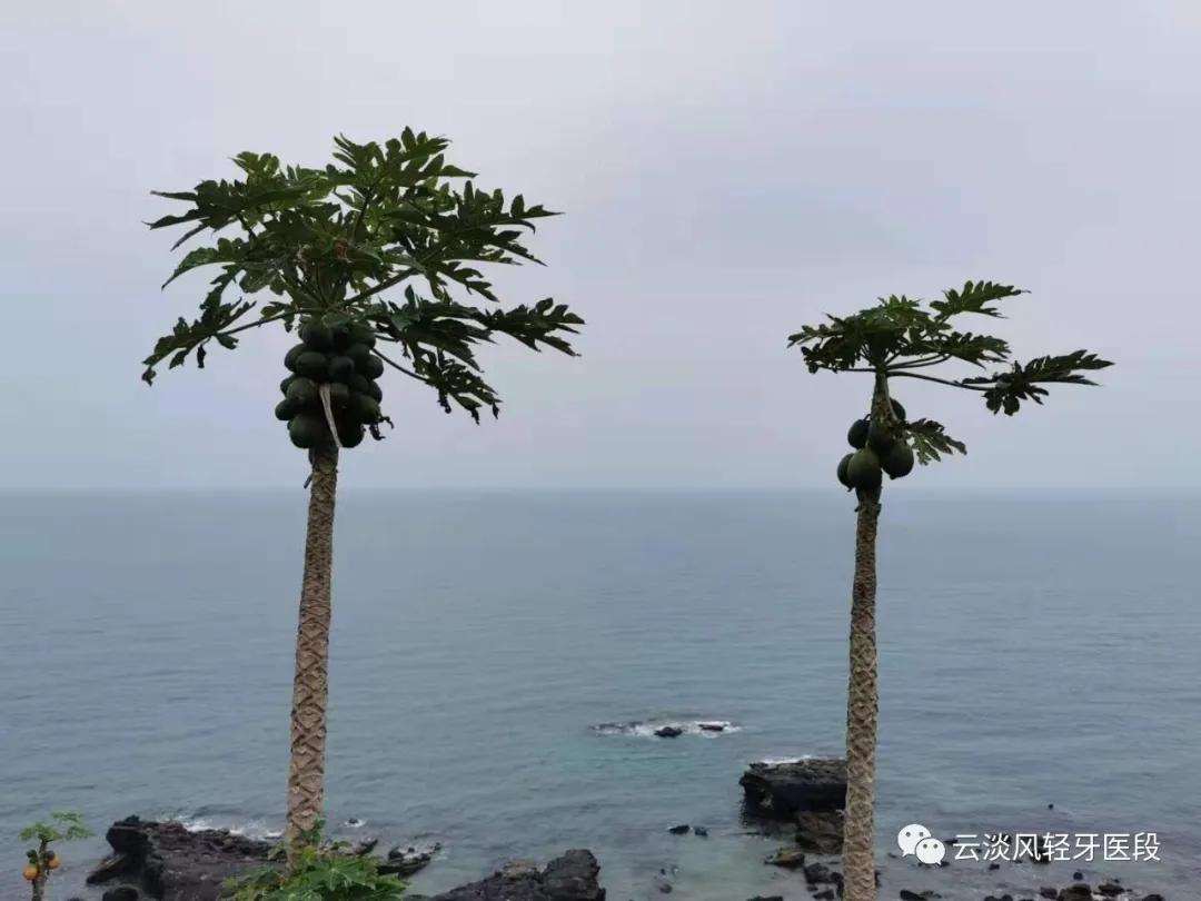 五一的北海涠洲岛,北海涠洲岛三天两夜旅游攻略