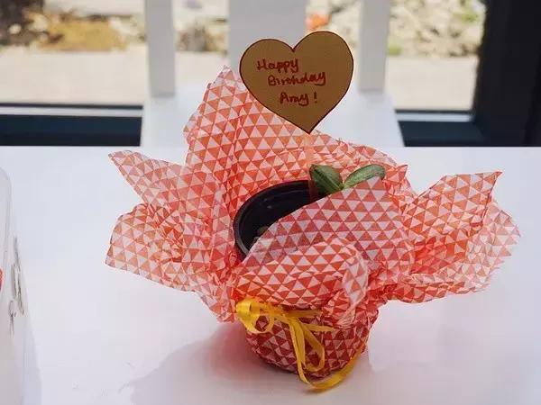 0-3岁儿童幼儿园游戏亲子益智游戏,蒙氏幼儿小游戏