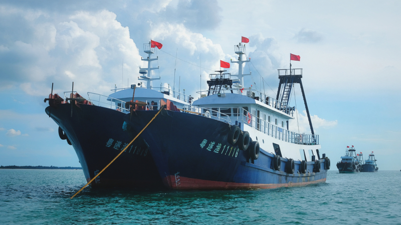 广东湛江景点及美食攻略,广东游记湛江市最美味的海鲜