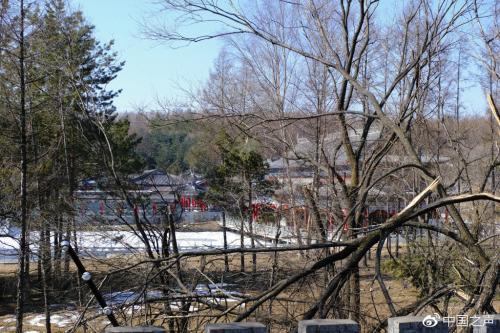 削山造地千亩建别墅被拆除,生态公益林违建