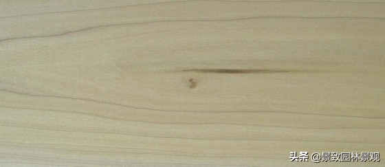 木纹最好看的木材图片,各种木材纹理图片与名称