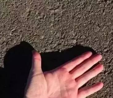 多少度狗狗会中暑,狗狗中暑打什么药