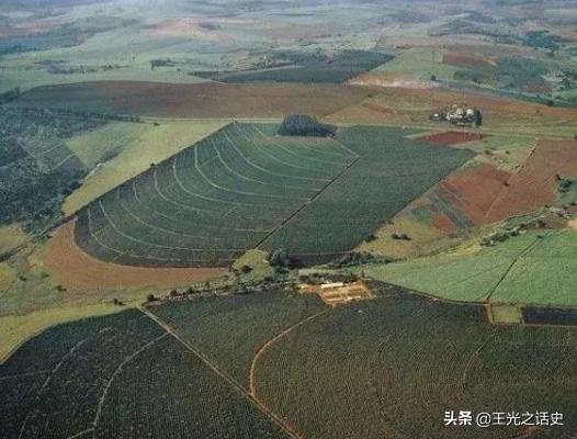 日本为什么把巴西当成第二故乡,巴西为什么是日本人的第二故乡