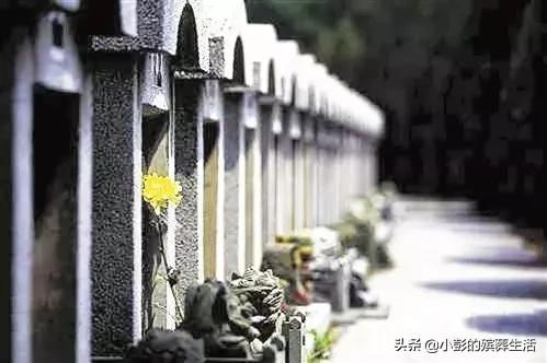 2024年湖南省殡葬改革,湖南殡葬改革