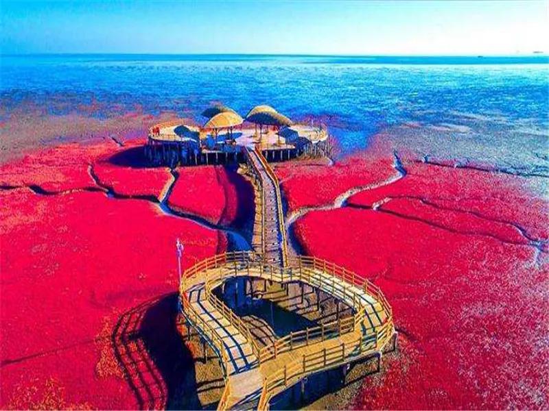 盘锦情书完整版,盘锦情书最新版