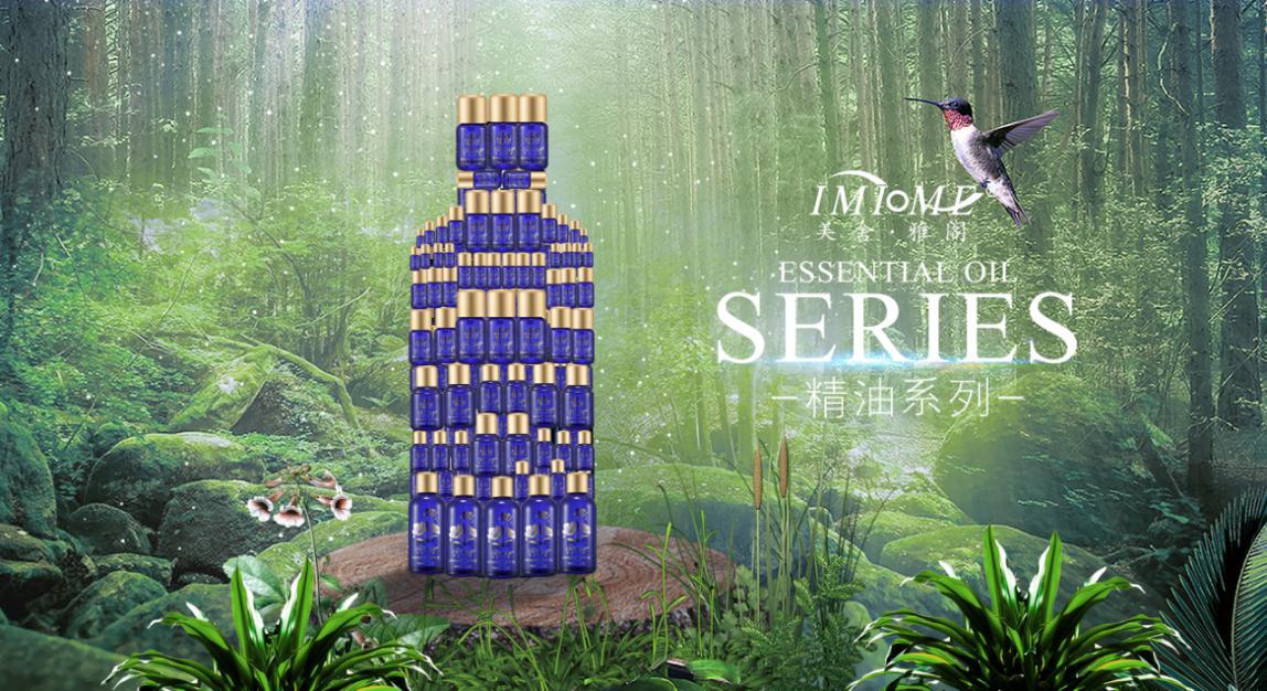 服务至上门店,服务至上实体店