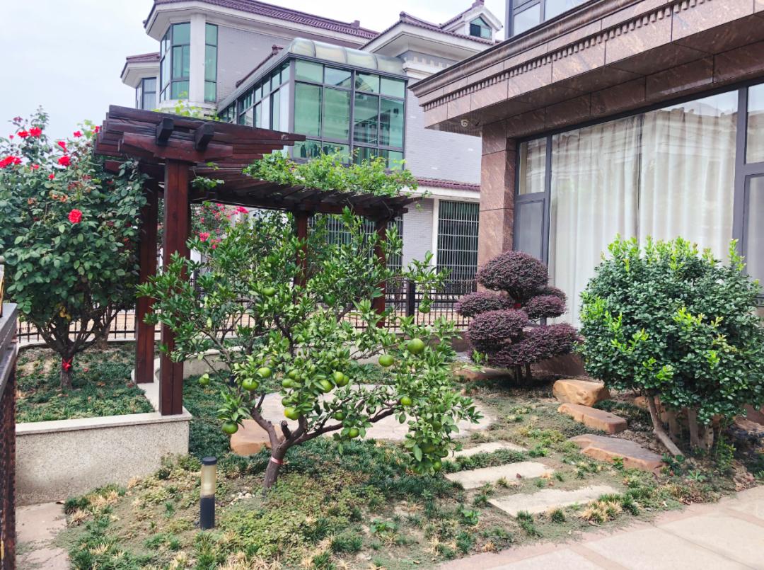 无锡江阴美丽田园,庭院深深美如画