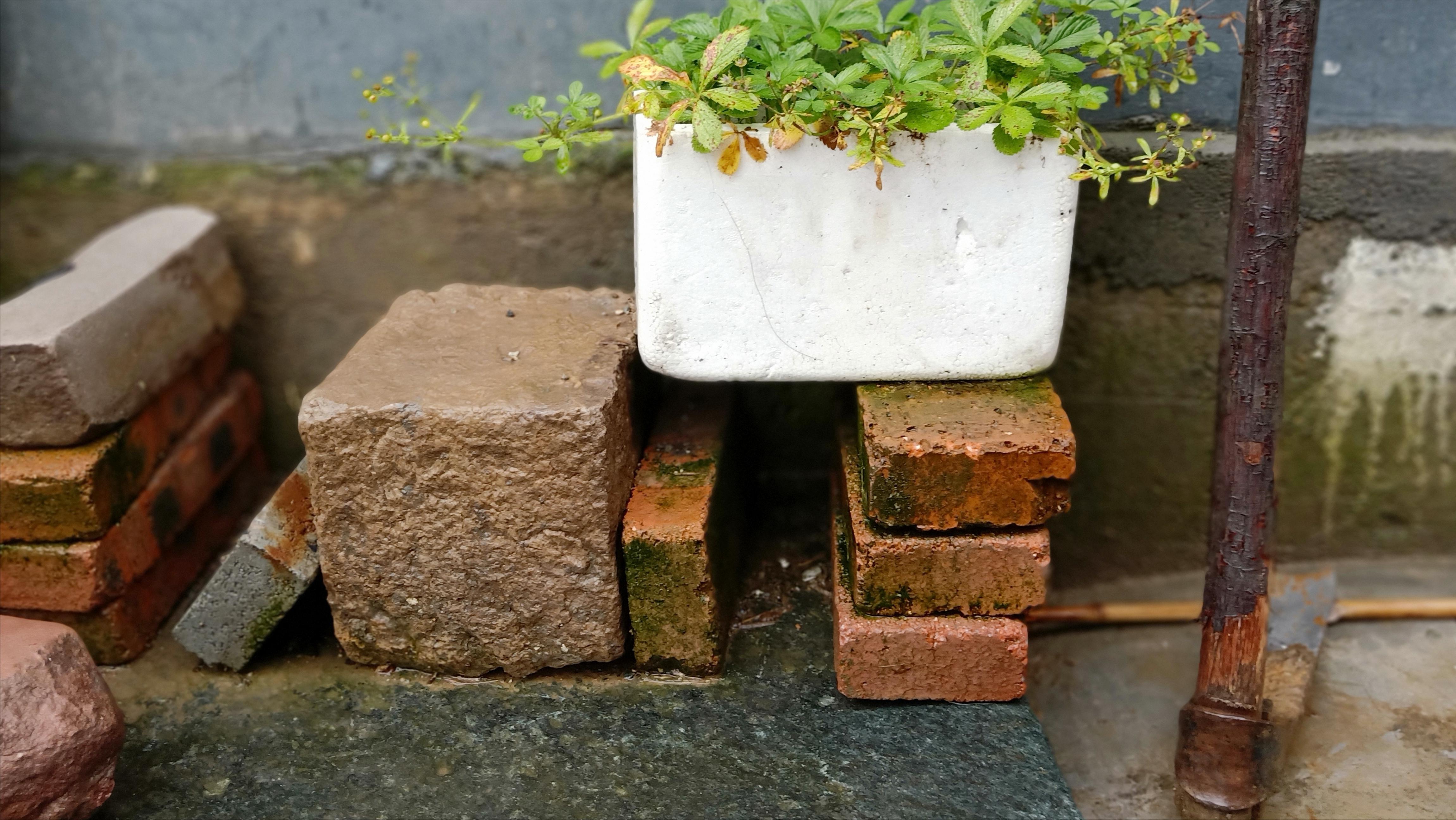 越长大越信命,越长大越相信命运