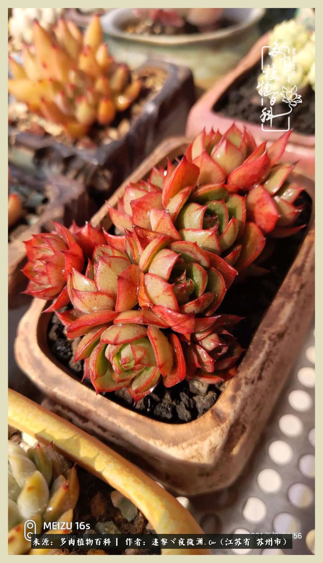 秋尽冬来岁月不居时节如流,岁月不居时节如流水