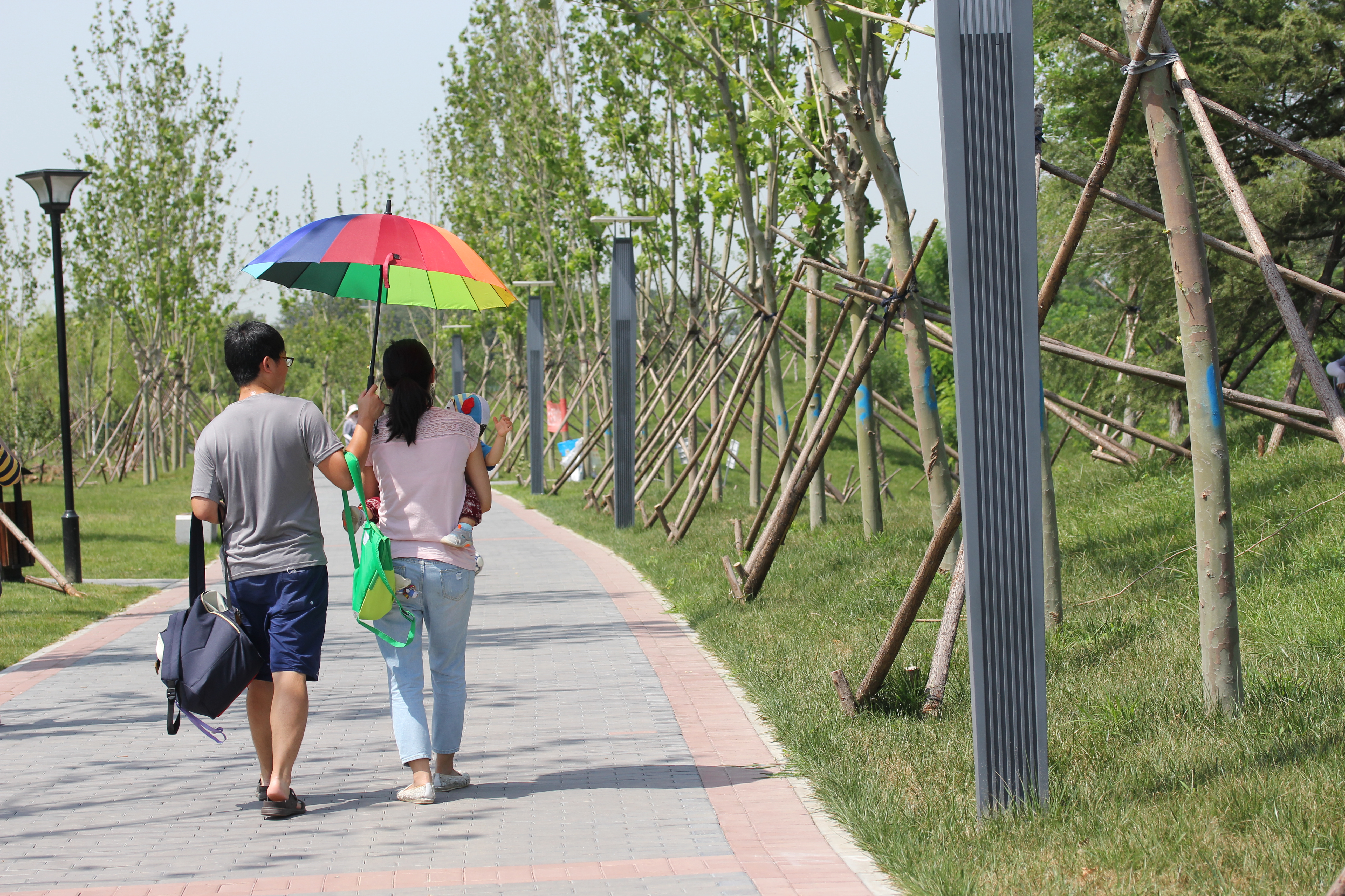 北京有哪些公园有足球场,北京超大绝美花海在哪儿