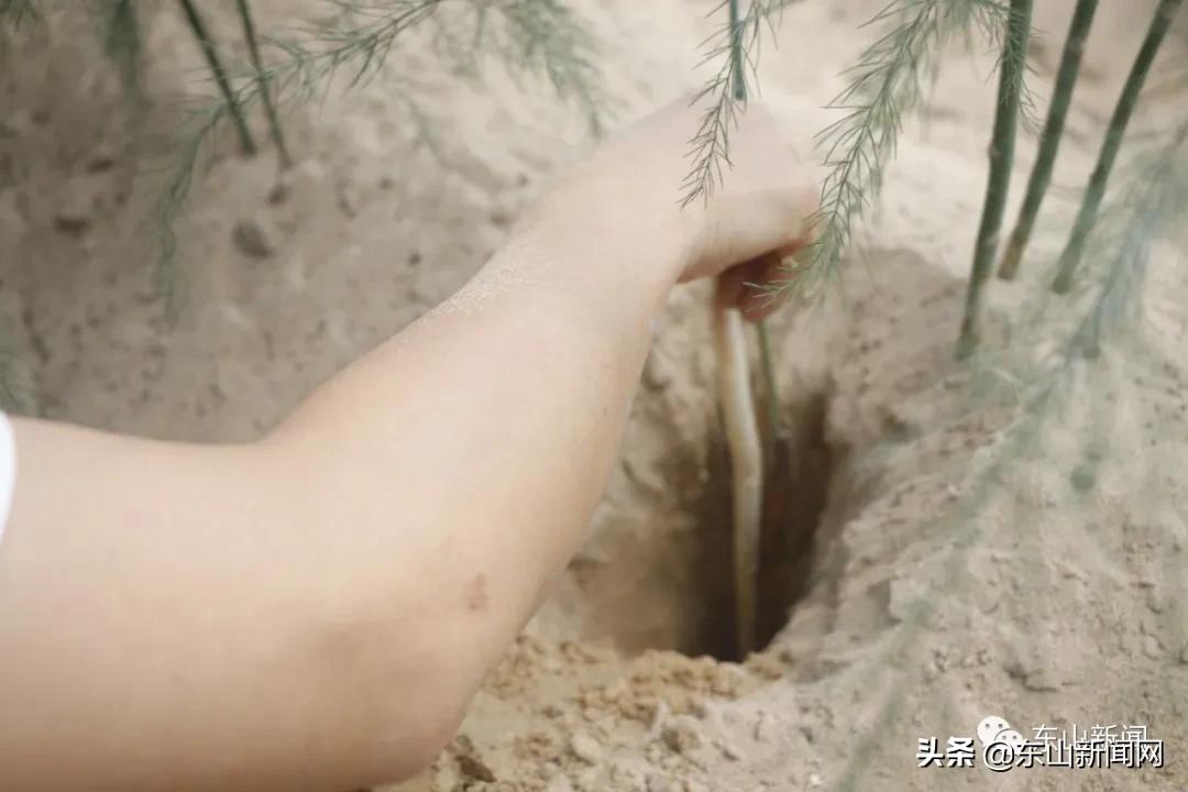 “云动力”让漳州东山这一产业焕发新活力