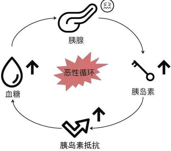皮质醇高练完长肥肉,掉肌肉长脂肪该怎么办