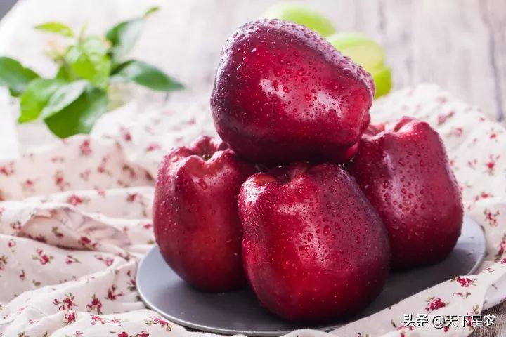 菠萝凤梨樱桃车厘子图,成都车厘子和樱桃的区别