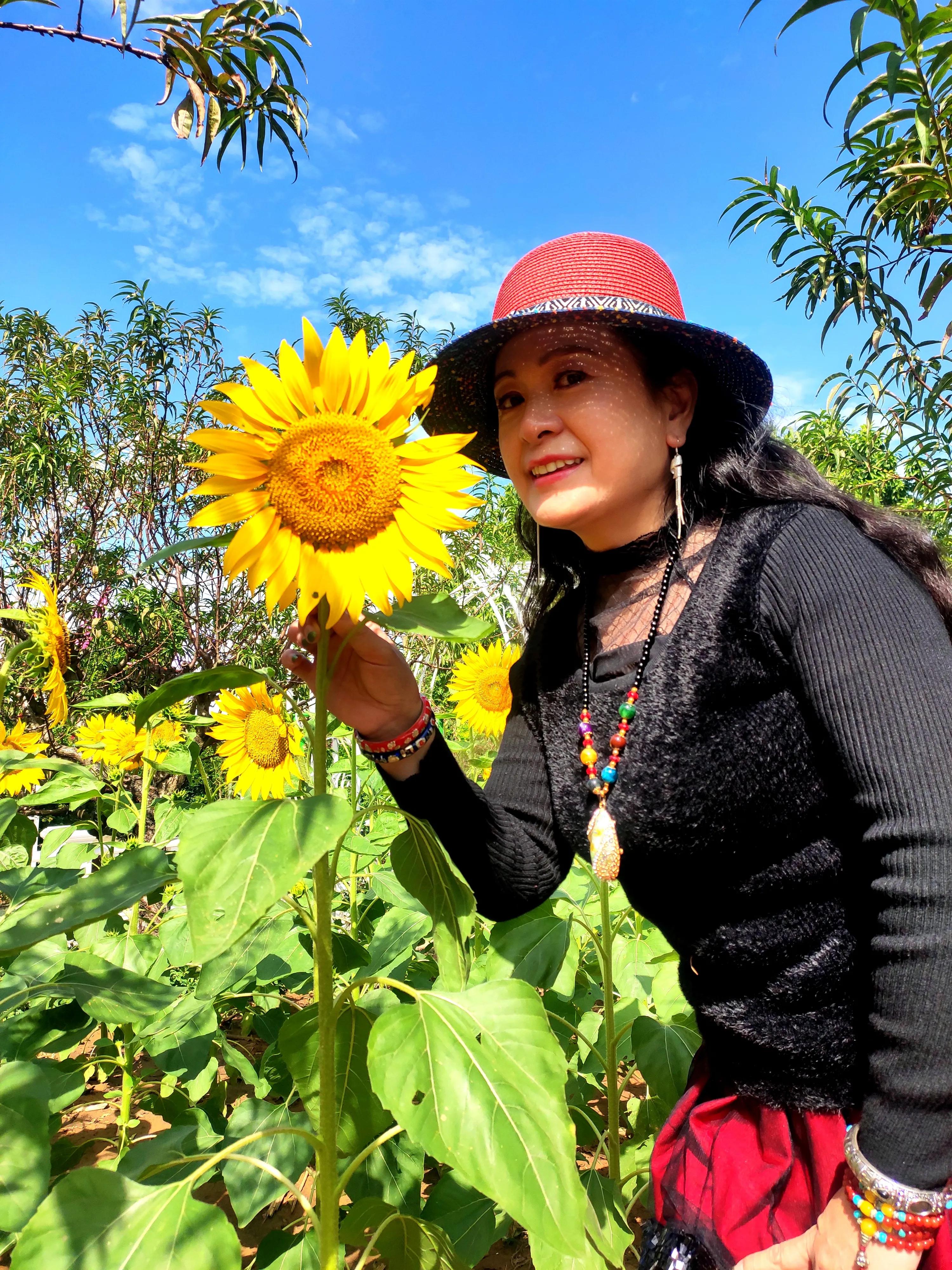 南沙好玩的地方百万葵园,广州南沙百万葵园几月份去最好