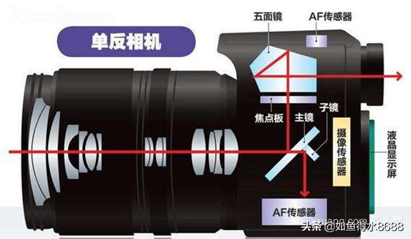 摄影新手入门相机操作简单,相机摄影入门基础知识教程图片