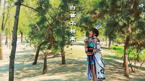 问道普通宠物最高法强的方法,问道宠物天技大全