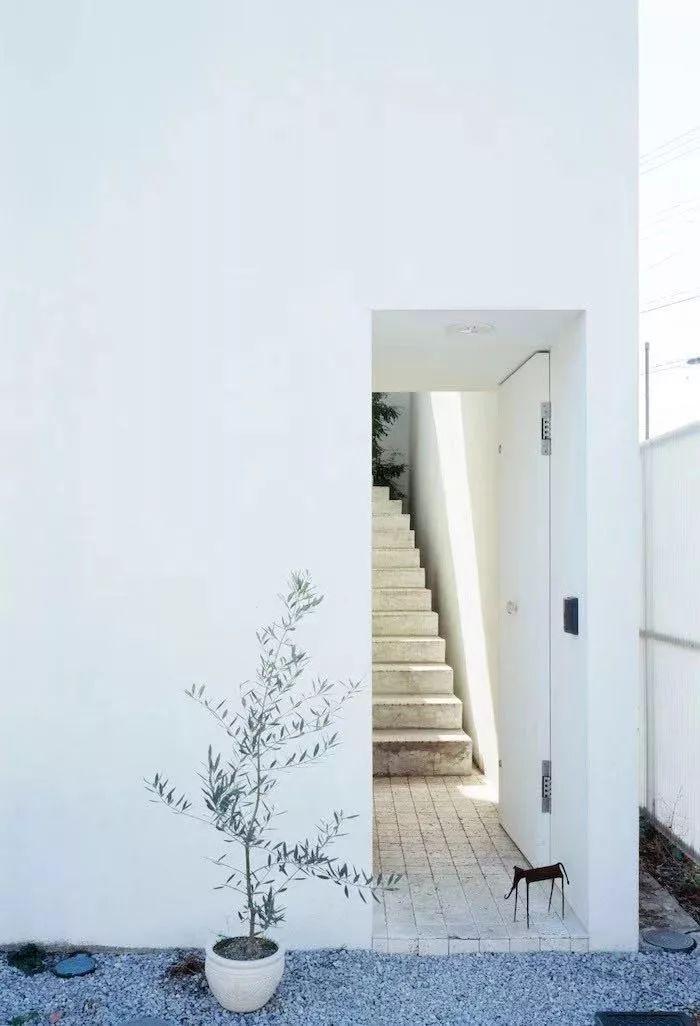 耗资80万建造豪宅出租给退休夫妇,她用14年建400平米花园