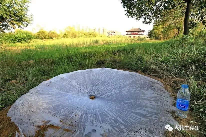 沙漠求生取水技巧,生存狂逃生技巧